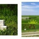 米どころ新潟県から、秋の新米情報をお届け　THEutf-8