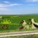 米どころ新潟県から、秋の新米情報をお届け　THEutf-8