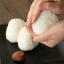 米どころ新潟県から、秋の新米情報をお届け　THEutf-8