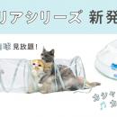 肉球フェチのみなさまに朗報♪透明デザインでうちutf-8