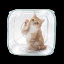 肉球フェチのみなさまに朗報♪透明デザインでうちutf-8