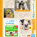 ペットと暮らす毎日をもっと楽しく！「ペッツトウキョ