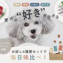愛犬の“好き”が分かる！ドッグフードブランド「OBREMO