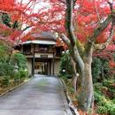 奈良富雄の料亭百楽荘で紅葉の庭園を特別公開「utf-8