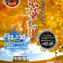 日本有数の銀杏産地 祖父江町で黄金色の秋を楽しむ「