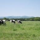 牧場ならではの紅葉を楽しむ「那須千本松牧場 紅utf-8