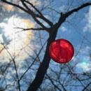 牧場ならではの紅葉を楽しむ「那須千本松牧場 紅utf-8