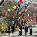 牧場ならではの紅葉を楽しむ「那須千本松牧場 紅utf-8