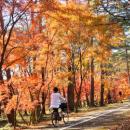 牧場ならではの紅葉を楽しむ「那須千本松牧場 紅utf-8