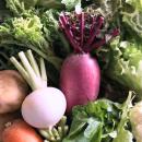 朝どれの衝撃。「ベジクル とれたて便」がスタート！