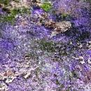 アーティスト・高屋永遠がCO2を活用した新素材を用い