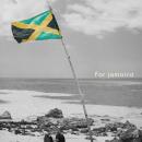 観測史上最大級ハリケーン「メリッサ」被災地 ジャマ