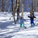 本日！12/23（火）より「滝野スノーワールド」冬期営