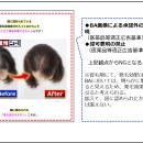 【定期調査】薬機法・景品表示法違反の恐れがある広告