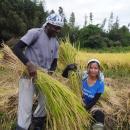 【第15回クボタ・毎日地球未来賞「大賞」を受賞しまし