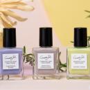 《新発売》春の柔らかく穏やかな空気感を指先へ。四季