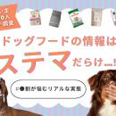 【飼い主300人に調査】ドッグフードの「ステマ」に疲