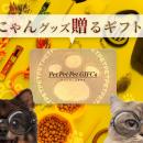 【ペットにも推し活文化!? 】大好きなペットにだって