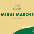 新宿駅の「ルミネアグリマルシェ」で、熊本県錦町の特