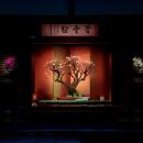 新春の風物詩・日本最大級の梅の盆栽展「第75回長浜盆