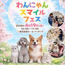 【屋内・入場無料】譲渡会×防災×体験で“共生の街づく
