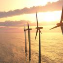 洋上風力発電の環境影響評価の高度化プロジェクト始動