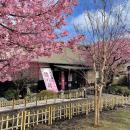 「第29回　雛のつるし飾りまつり」が1月20日に開utf-8