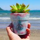 循環を生み出す、世界にひとつだけのフラワーポットが