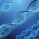 ヒロクリニックがNIPT検査結果の98％を5日以内に報告