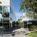 ベトナム茶専門店Tinh、代官山 蔦屋書店での茶市出展