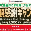 【ご好評につき第２弾！えらべるPayが当たる】カタギ