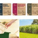 ふんわり卵と彩り野菜で、心ほぐれる朝のひととutf-8