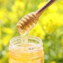 新登場＊幻の菜の花はちみつが主役のケーキ＊家族経営