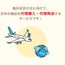 【2026年最新】海外在住者が「どうしても日本から取り