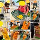 2月の伊豆・村の駅　ラスカ熱海へ！「さくら香るutf-8