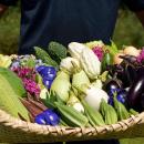 【沖縄／ジ・アッタテラス クラブタワーズ】ホテル自