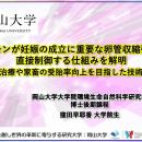 【岡山大学】女性ホルモンが妊娠の成立に重要な卵管収