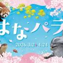 【横浜・八景島シーパラダイス】季節の花と生きものが