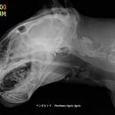 東武動物公園は開園４５周年