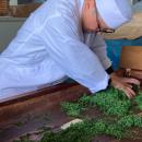 ブルボン、雪が育んだ香り高くまろやかな味わいutf-8