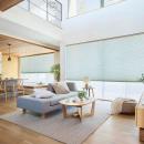 タチカワブラインド、ハニカムスクリーン「ブレア」に