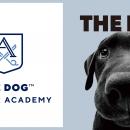 THE DOG(TM) TRIMMER ACADEMY 開校