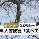 令和8年大雪被災生産者の農産物を「食べて応援」でき