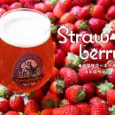 サンクトガーレン、泡まで苺色の甘酸っぱいビール『ホ