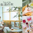 自然と共生する新店舗が誕生。名古屋・星が丘に「生活