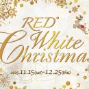 RED° TOKYO TOWER通信｜2025年 12月号