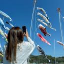 創業79年の鯉のぼりメーカーが空間演出へ立体デutf-8