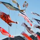 創業79年の鯉のぼりメーカーが空間演出へ立体デutf-8