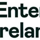 アイルランド政府商務庁、日本のエネルギー分野での連