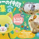 【香川ファイブアローズ】4/4-5ホームゲーム 安藤不動